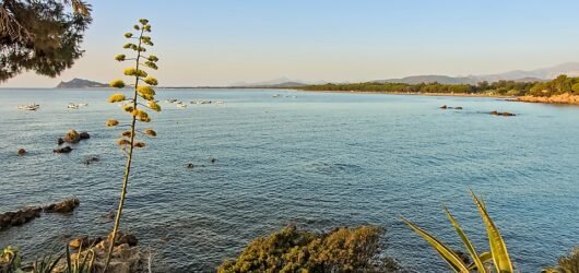 Nekilnojamasis Turtas Italijoje: Toskana, Amalfis ar Sardinija?